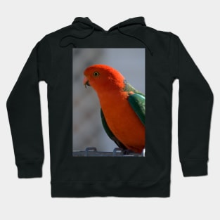 King Parrot #1 Hoodie